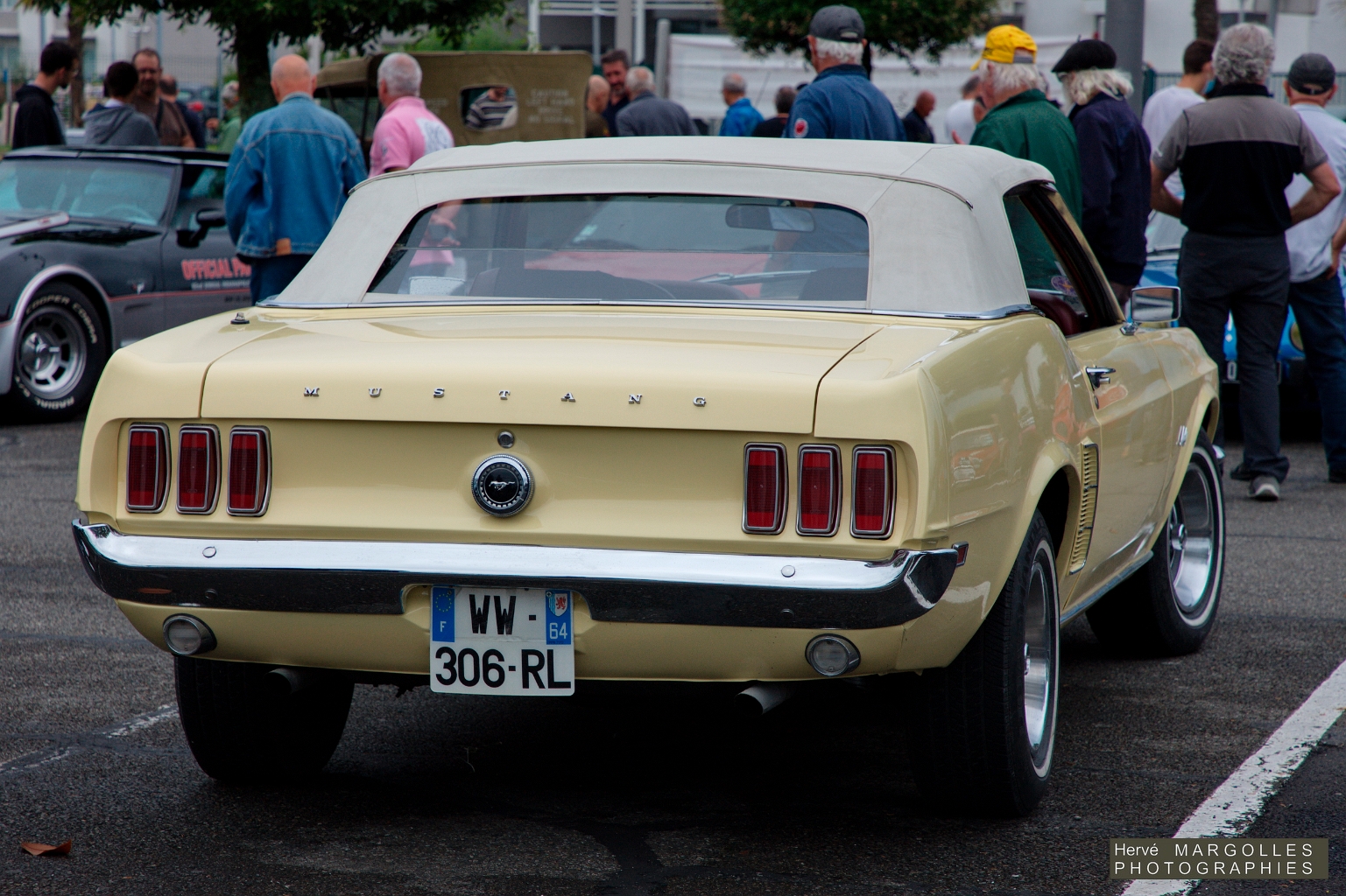Ford Mustang-01.jpg